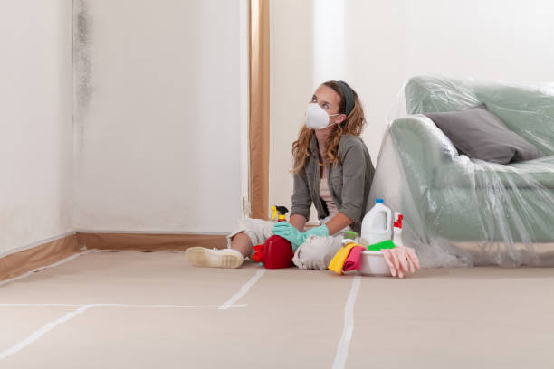 Reliable Black Mold Remediation contractor in Linden, MI by Mold Remediation HQ